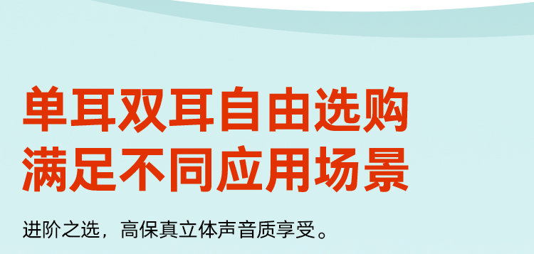 博诣 POLY C5220 双耳头戴式有线耳机/耳麦带话筒/USB+3.5MM双接口/办公耳麦/游戏耳机			