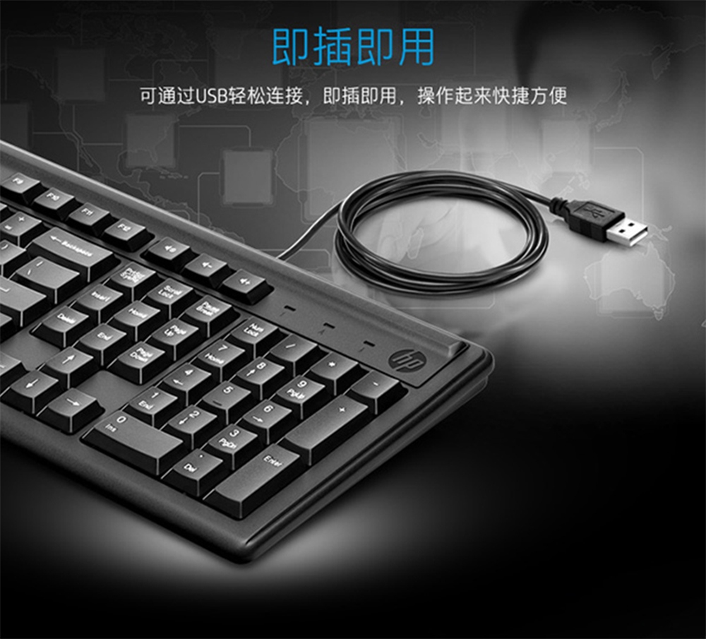 惠普 (HP) 100单键盘