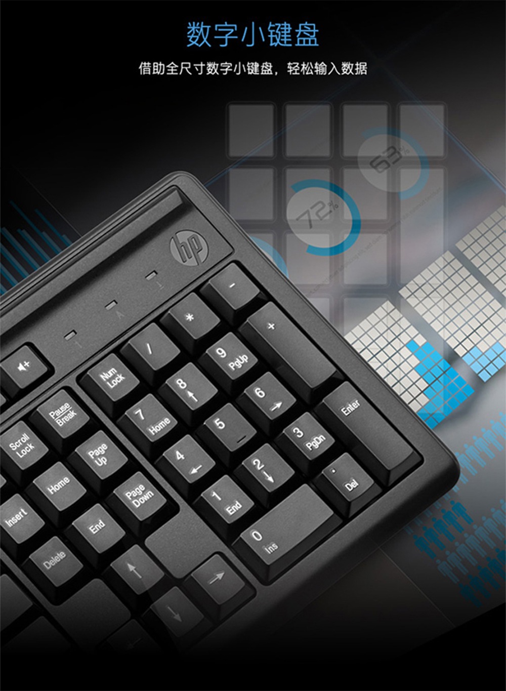 惠普 (HP) 100单键盘