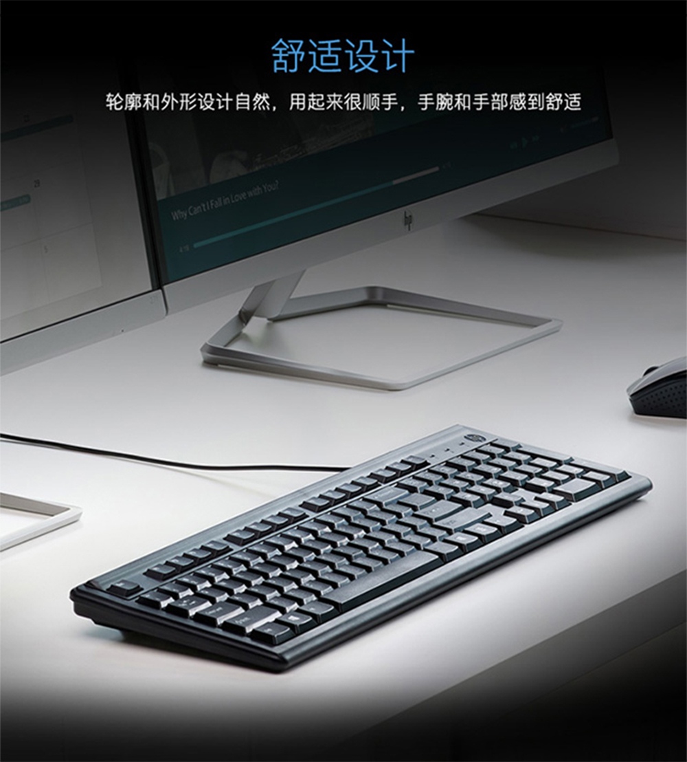 惠普 (HP) 100单键盘