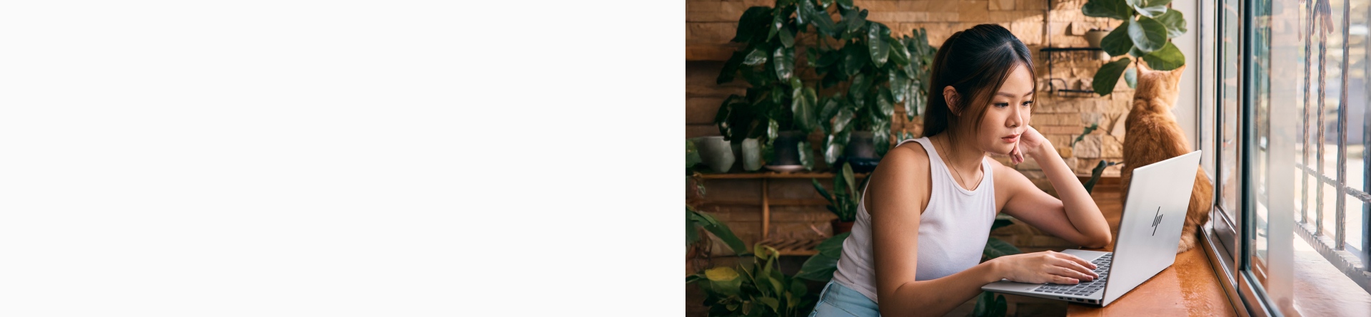 惠普师生教育优惠商城